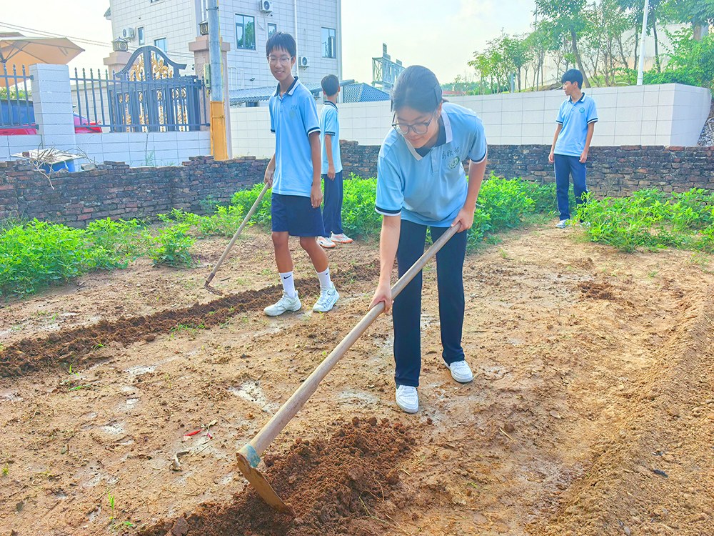 嘉峪关叛逆不听话孩子学校推荐与家校共育选择指南